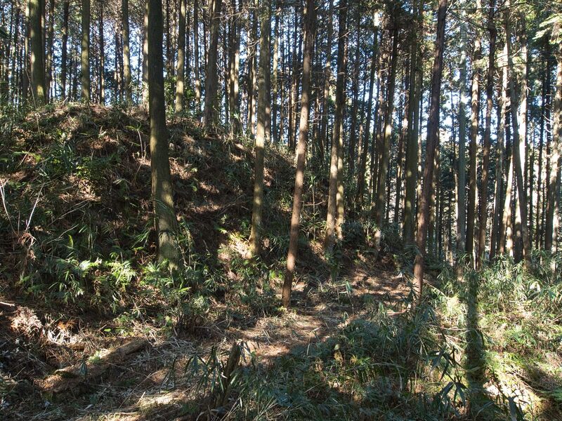 File:Kokashingu10.jpg