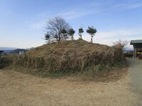 Nagaune-toride01.JPG