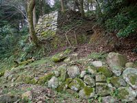Hikone111.jpg