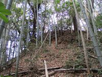 Ibohigashijou005.jpg