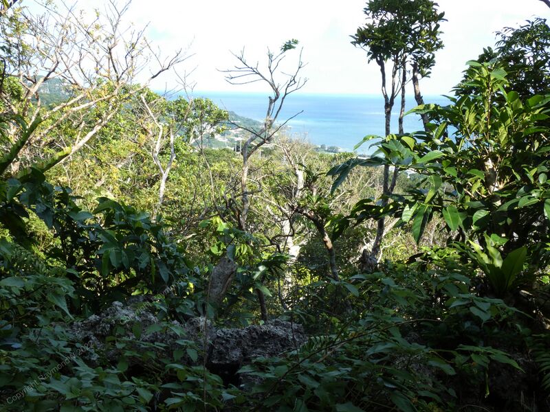 File:Kakinohana Castle Ray 6.jpg