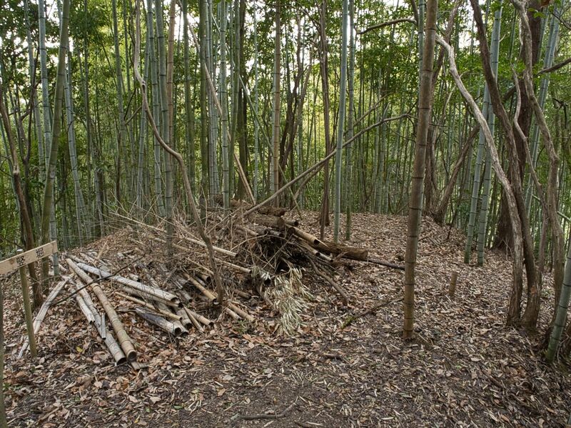 File:Kaseyamakyoto15.jpg