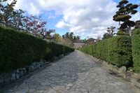 Matsusaka30.jpg