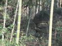 NagasakaYashiki (5).jpg