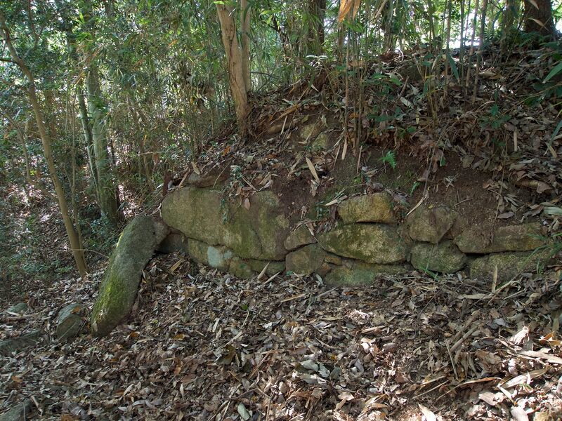 File:Niitakayama54.jpg