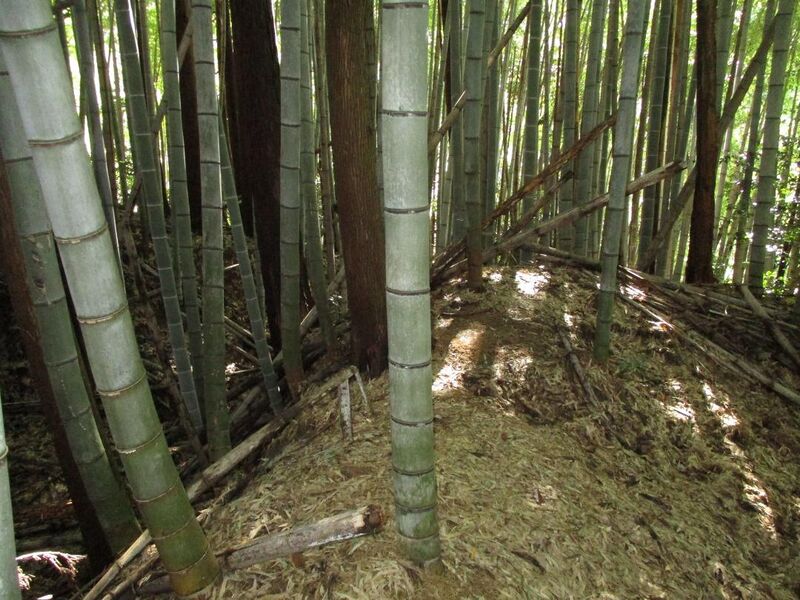File:NukataTashirojou005.jpg