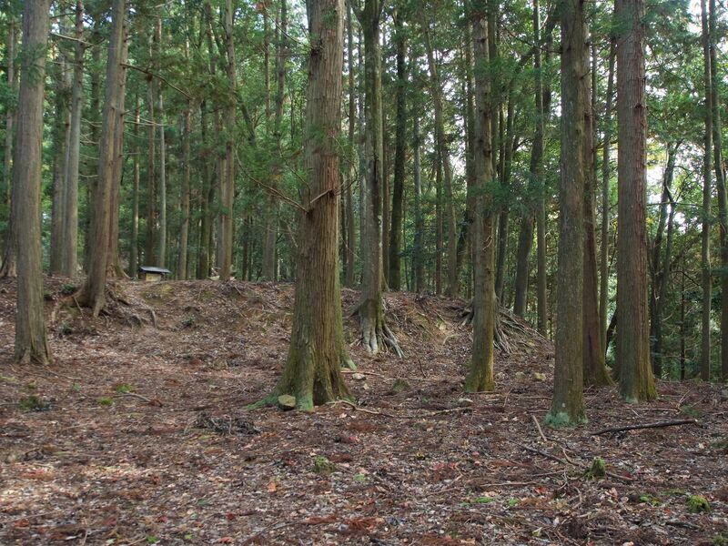 File:Yoshidakoriyama56.jpg