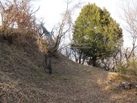 ChiisagataKomakijou (16).JPG