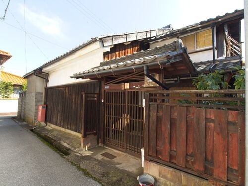 Fujimurahikone2.jpg