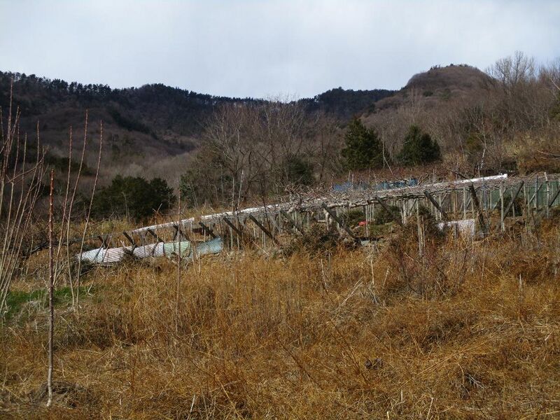 File:FurujiroToride008.jpg