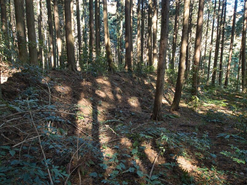 File:Kokashingushi3.jpg