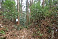 Matsuida28.jpg