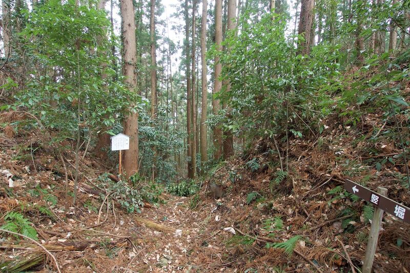 File:Matsuida28.jpg