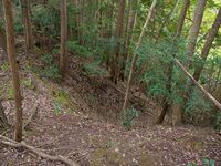 Okudanitanba9.jpg