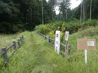 Sadowarajô (95).JPG