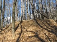 SuwaImorijou (9).JPG