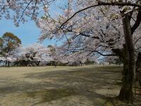 Tokushima20.jpg