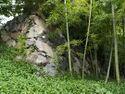 Fushimi49.jpg