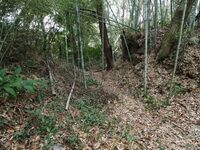 Futamata37.jpg