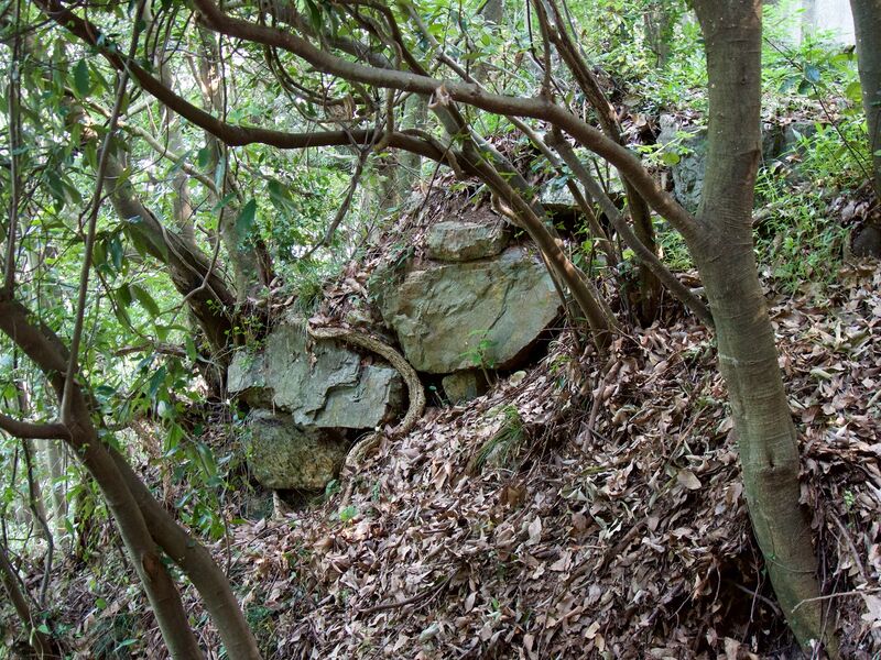 File:Gifu16.jpg