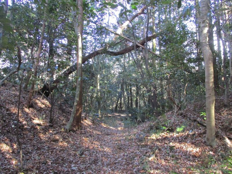 File:Hobonishijou003.jpg