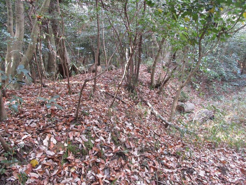 File:Hobonishijou014.jpg