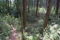 Katsunuma7.jpg