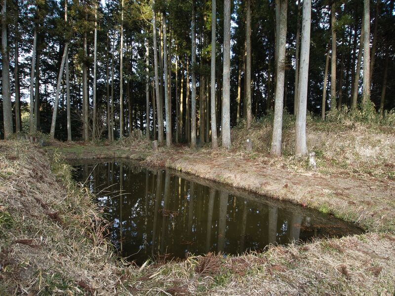 File:Kuboyashikishi12.jpg