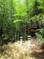 Thumbnail for version as of 19:34, 1 June 2021