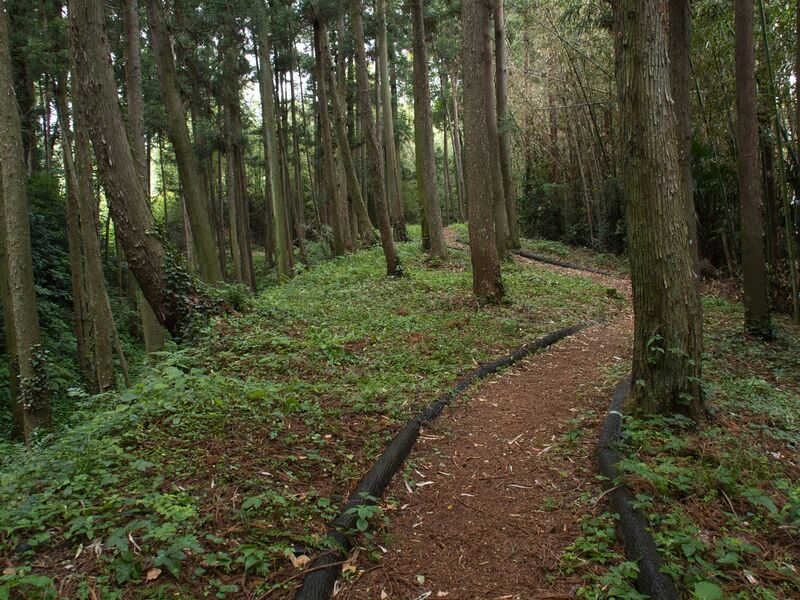 File:Shiroi10.jpg