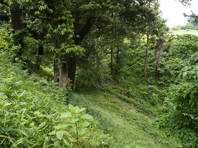 File:Shiroi40.jpg