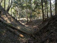 Tsuchiyamakoka30.jpg