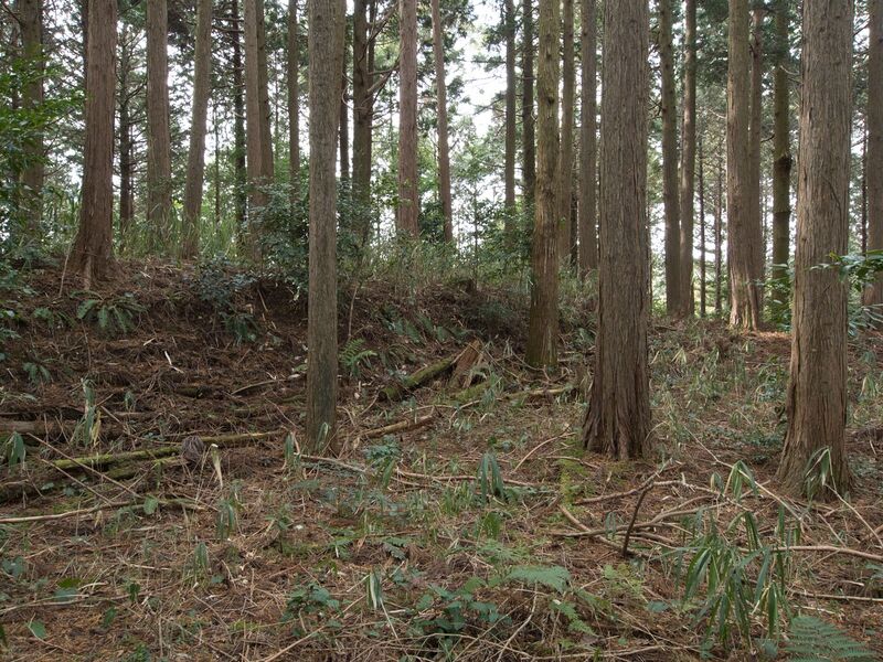 File:Wadakoka20.jpg
