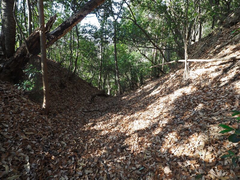 File:Yamana33.jpg