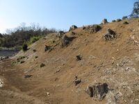 Choujayamajou (7).JPG