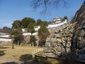 Himeji118.jpg