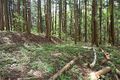 Thumbnail for version as of 13:25, 24 June 2017