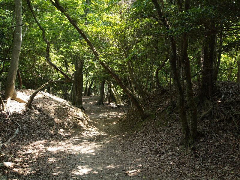 File:Nyoigatake31.jpg