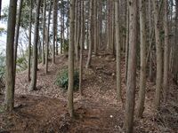 Shigisan4.jpg