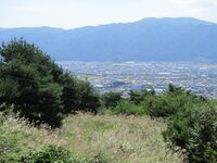 TateishiToride01.JPG